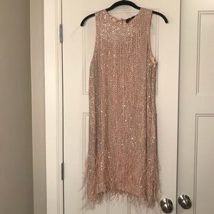 Blush Parker Size 6 Dress. Never Worn